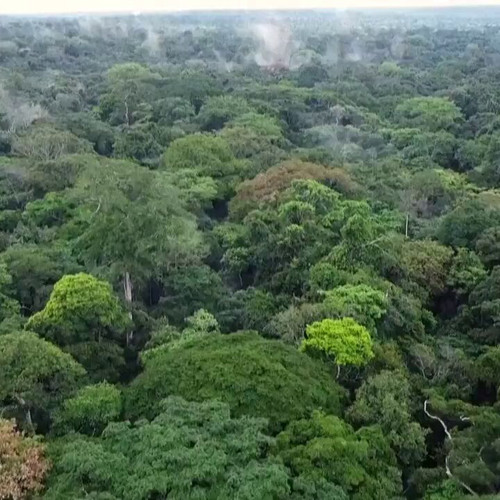 KET M6iZ pKzDBZe.jpg