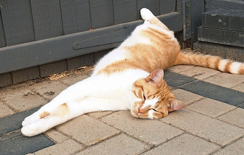 514279220 122162007092463630 8557314962908861552 n.jpg