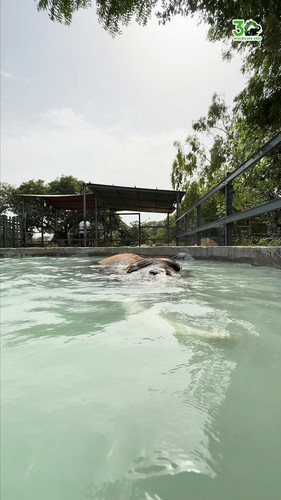 vgscDXC xHBCO5fK.jpg