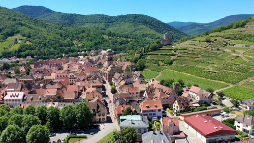 tWB84mCDb jNgbmt.jpg