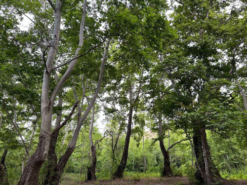 rWwSlPqdclY eDH FUVnauunS7J81zPgnJ9tPvRDBTgHAySfFO N4dSRFL3tPNG324muSpO 4VkscDP HeD0slapA ioNYGVY0yx.jpg