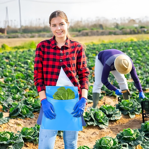 美图设计室 无损改尺寸 2025 07 12（4）.jpg
