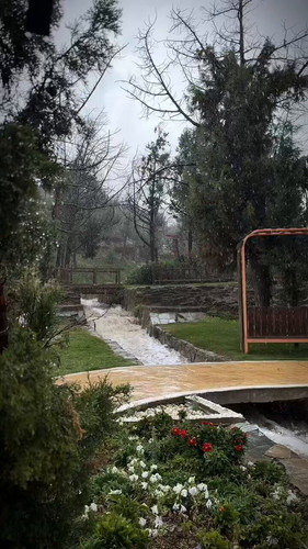 GJ f4gLty8TFocPx.jpg