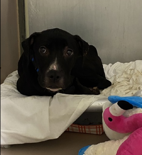 GvhSzR3WwAAFF Z?format=png.png