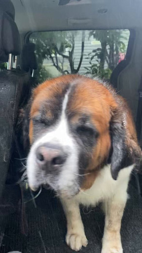 zSZuqr6nFFge5 kj.jpg