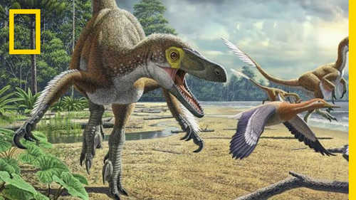 High Quality (17).jpg