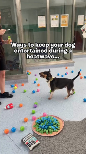 6 zpwetrhRHll HC.jpg