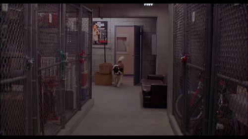 vlcsnap 2025 07 13 10h11m50s564