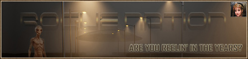 DimLights Banner.jpg