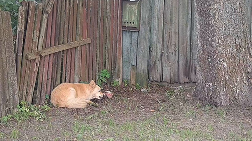 Vmc2 4rfw10lWGem.jpg