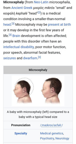 GvtIKpeWcAIYsW ?format=jpg.jpg