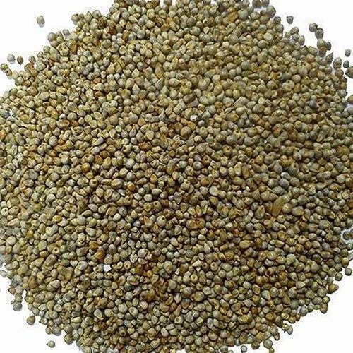 pearl millets 500x500 500x500.jpg