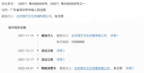 欠腾讯1250万不还，“耽美教母”.webp