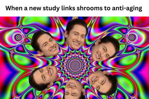 GvnXY ZbsAECald.jpg