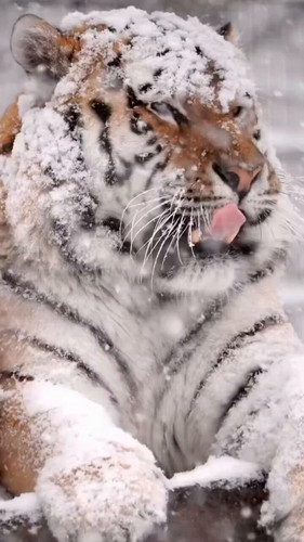 B5Xc wXyApJrAaSo.jpg