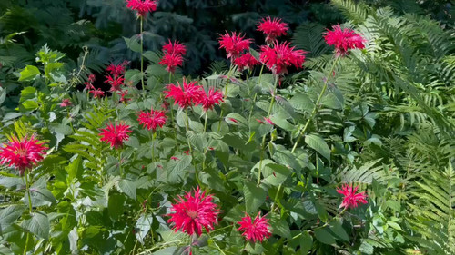 9mRTIvwzJ hyg4M5.jpg