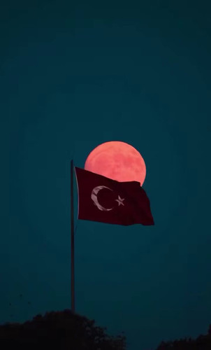 Np5ZUuNM9tFxcCFi.jpg
