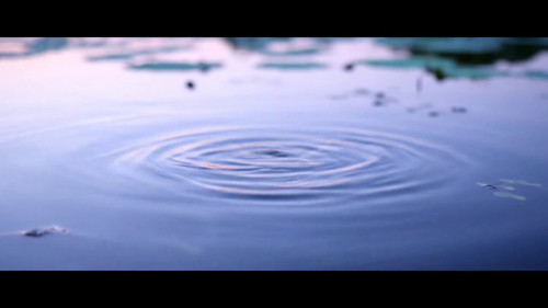 8qtzKF6 VZ0jmNrP.jpg