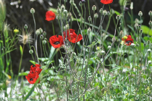 JH4yi cQY UNNPCJ2IjPrd 929jdKI1JZhkWqmwuji23xfOc6sITyytDZ5ymsV9 cILP5hI1YgQ2wQiDUP9voznKwFLe7MdSYYey.jpg