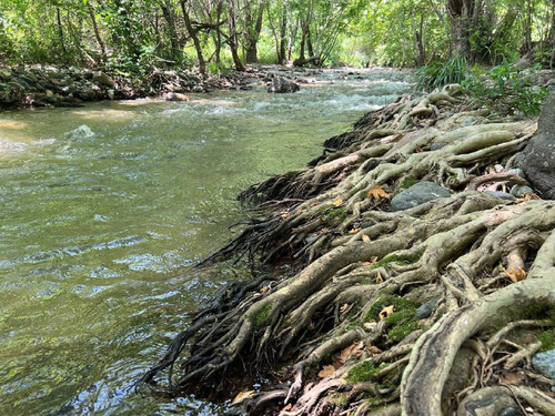 qm BUb73Pfi 4j169gV0GXvlWcmkR33Qd3 MipV47HXCAUoNzxYUxhdTS18 GO2ri6Sdy7yPLFbMKHdqgIGgfWZkN6QQh7OQ6hmS.jpg