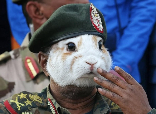 GvpNyUWXQAAIV47.jpg