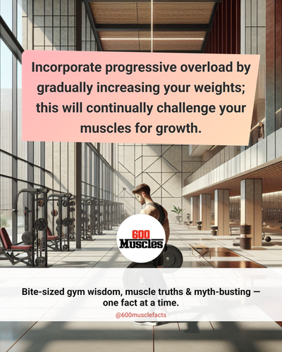 53fdde51 7dd9 476d 919c ac708b32cd30.png