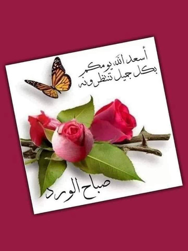 Gvnr4eqaMAA6OAg.jpg