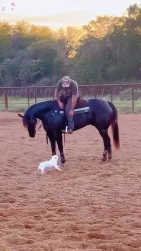 W8hvrm fYTJ1Sj2V.jpg