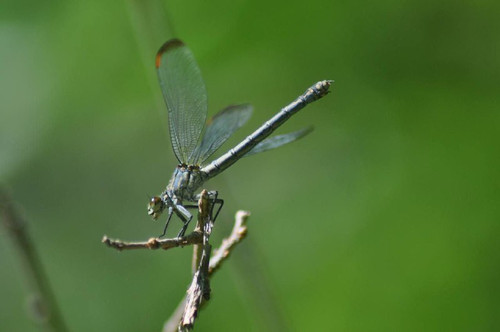 Te6nzjS6qGWIGaDj6ryQW2pVYIJdFYgmsLq8O W77z2o7y NGZBGwPU1Wrbmv2iQ4iZW86uk1gGGZMVcj8SJ 3iofn9xea0sw87a.jpg