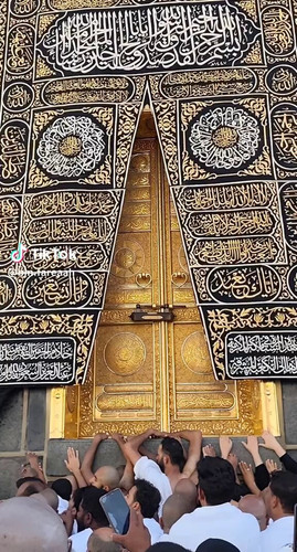 lZ9ZFsTXcD S84gg.jpg