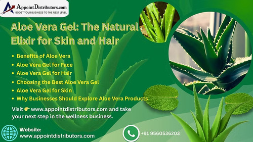 Aloe Vera Gel The Natural Elixir for Skin and Hair.jpg