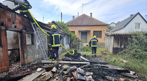 d75a8bdc 43dc 4725 9063 b3205fbd8ff0 Custom.jpg