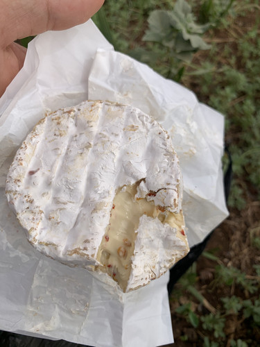 30C6BB1C 1C16 4ECA AF2A DD717F8FC998.jpg