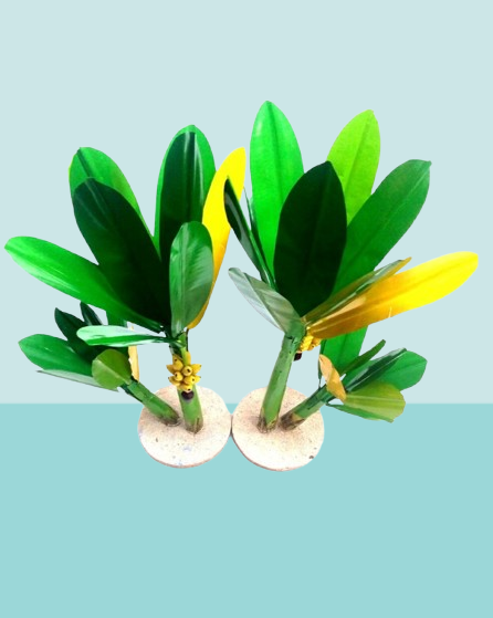 56788 removebg preview.png