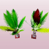 f27a7ab4 1805 4cea bbbd 751f10e7cda0 removebg preview.png