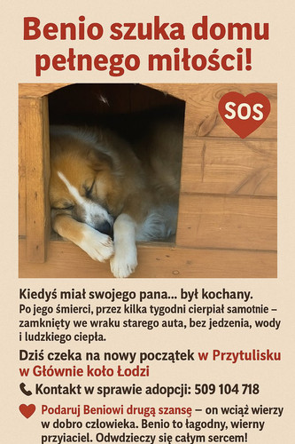 Gvm rIKXsAAF ym.jpg