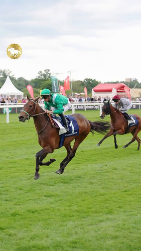 H2kXaJPyXjbwt br.jpg