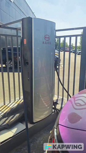 0k6FwjwQDd xdo6c.jpg