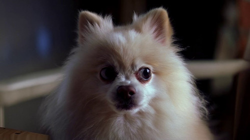 y 5t8dTwbzTvA6PV.jpg