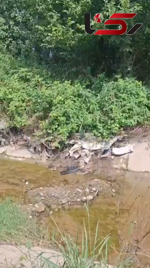 YsRGnwMyBj7wDxx .jpg