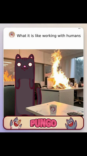 8 zz8CN1KFmqs4dI.jpg