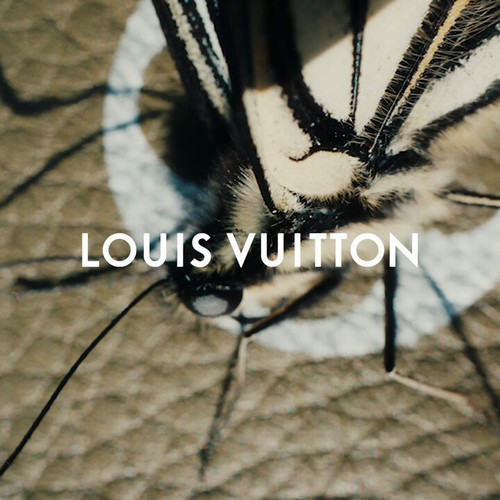 WBTU31bAlm jVTgn.jpg