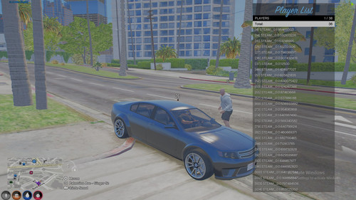 FiveM GTAProcess GVg5SKMl6P.jpg