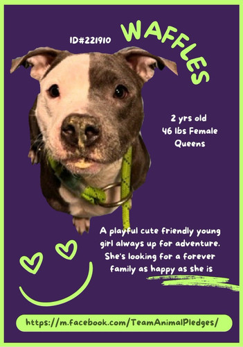 GmFn 4qXoAEMonP?format=jpg.jpg