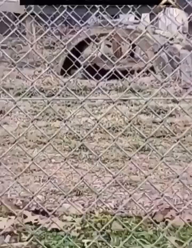 VJ RJIEctOIsS8eB.jpg