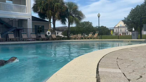 A2s7Y0fUxY2O O0P.jpg