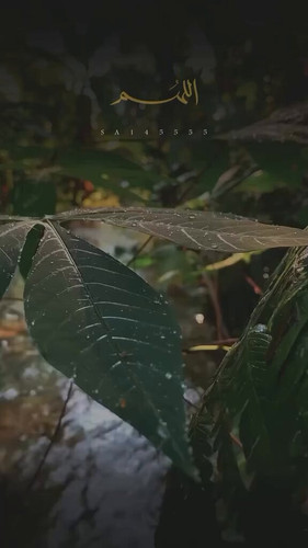 FCTR OSn1KvORmPR.jpg