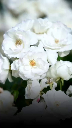 j4Imd pUOdsO8JOA.jpg