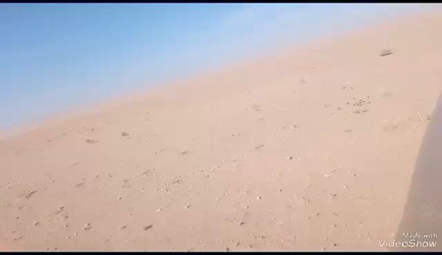 omIYfcD 19J1nV 2.jpg