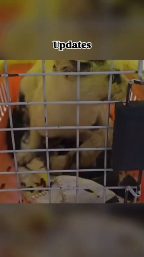 2 V wc9JrQE5 vG9.jpg